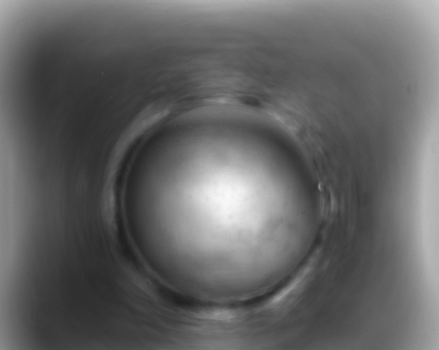 X0000088650198200706011227