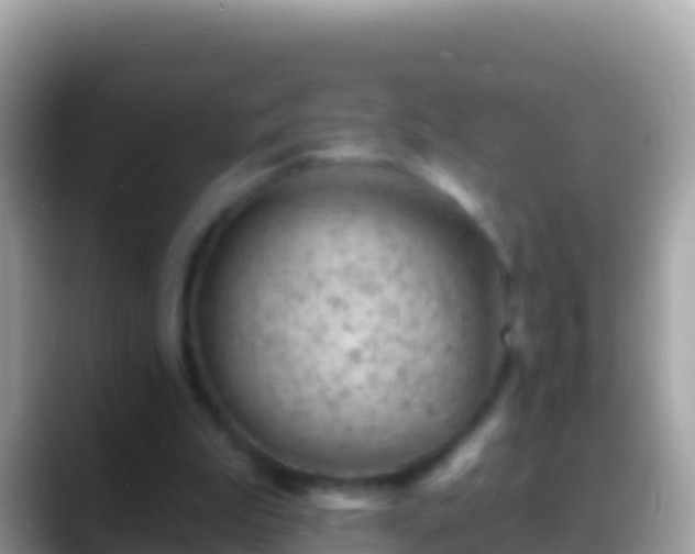 X0000088650199200706011227