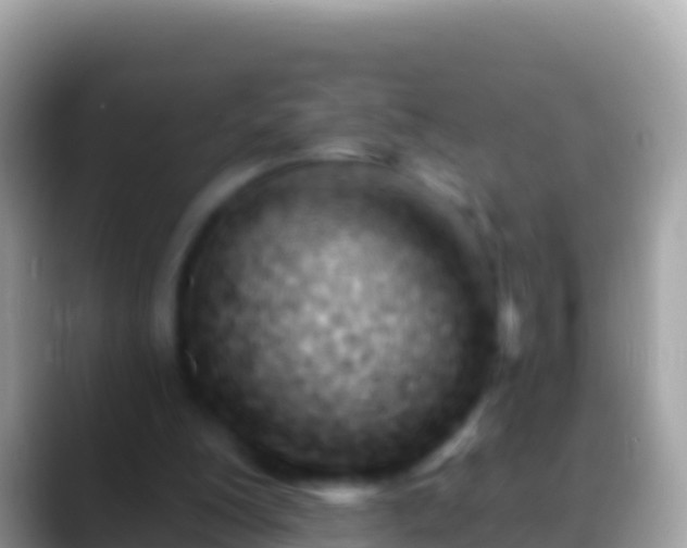 X0000088650200200706011227