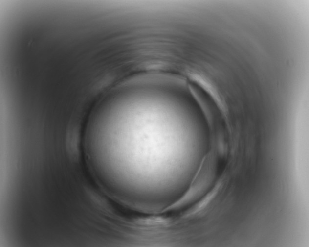 X0000088650201200706011227