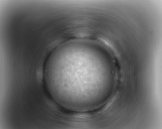 X0000088650202200706011227