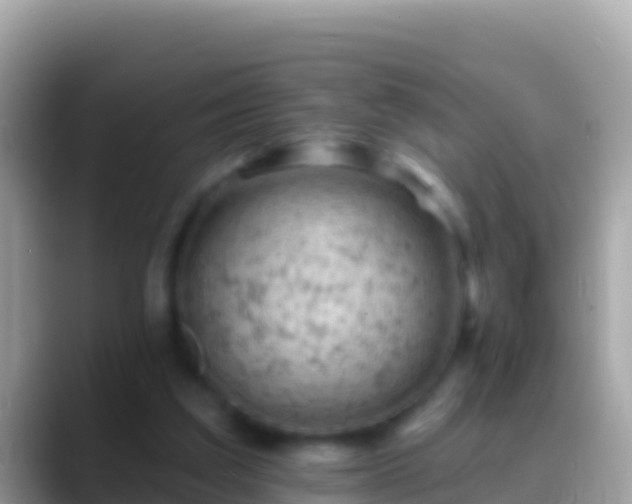 X0000088650203200706011227