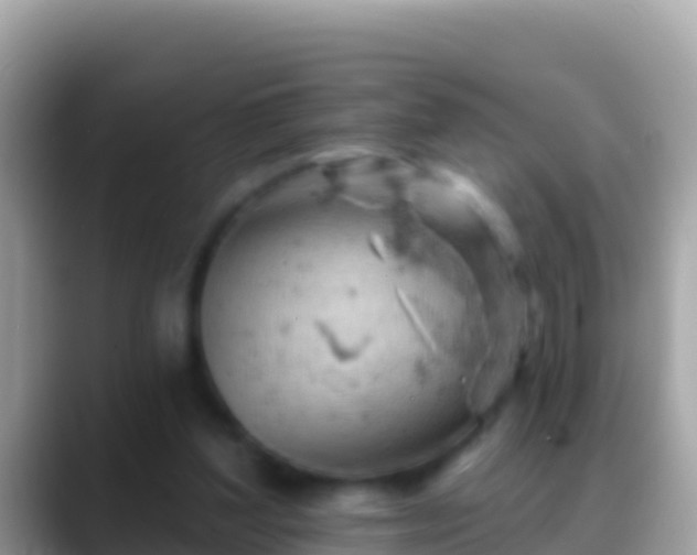 X0000088650204200706011227