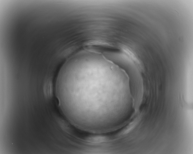 X0000088650205200706011227