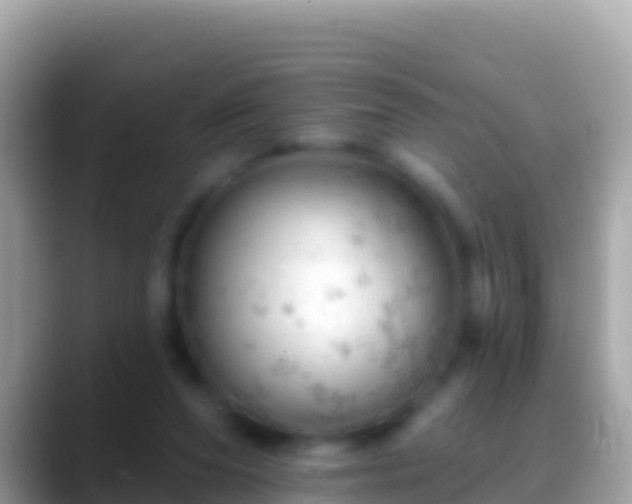 X0000088650208200706011227