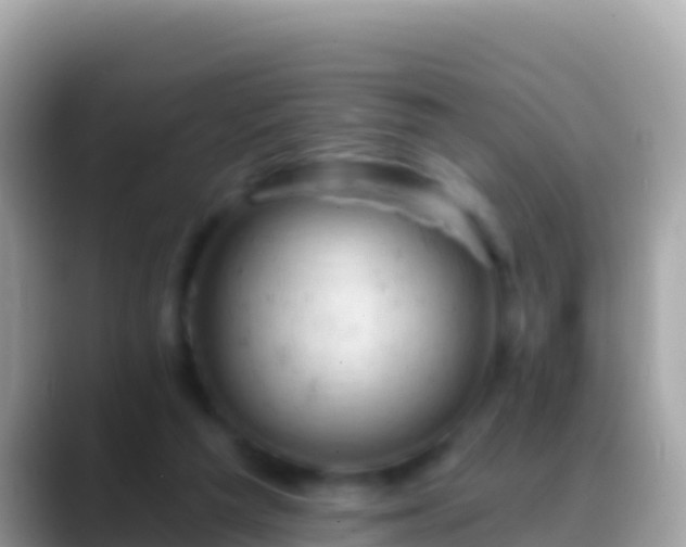 X0000088650209200706011227