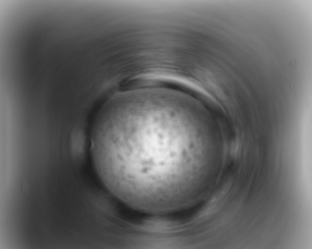 X0000088650211200706011227