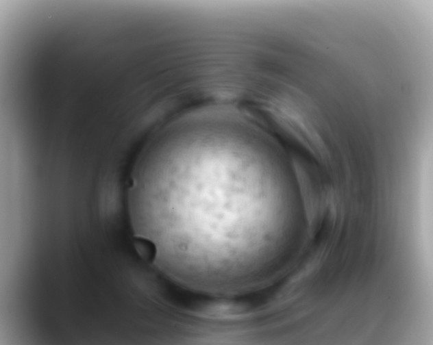 X0000088650212200706011227