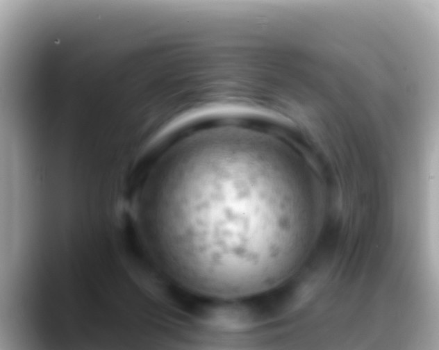 X0000088650215200706011227