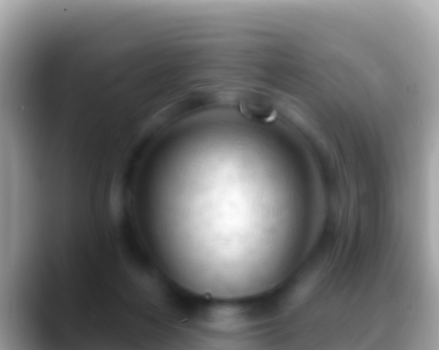 X0000088650216200706011227