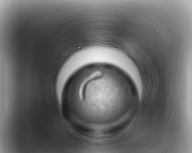 X0000088650219200706011227