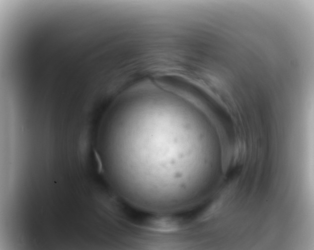 X0000088650221200706011227