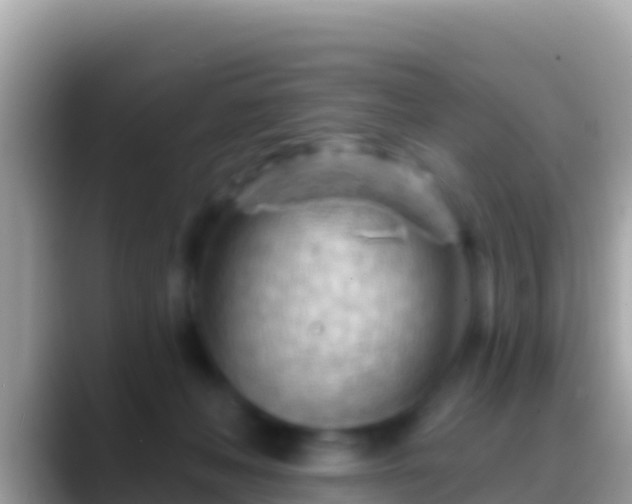 X0000088650222200706011227