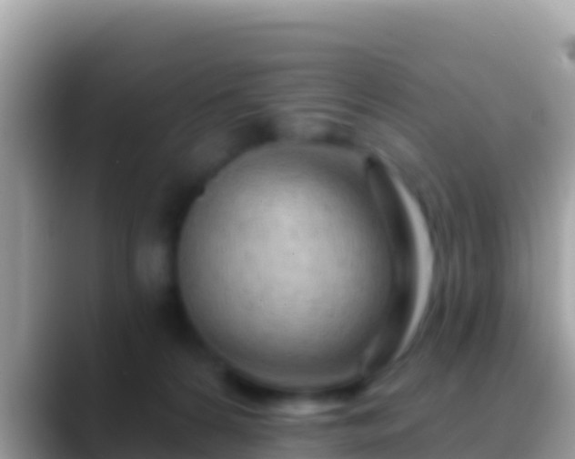 X0000088650224200706011227