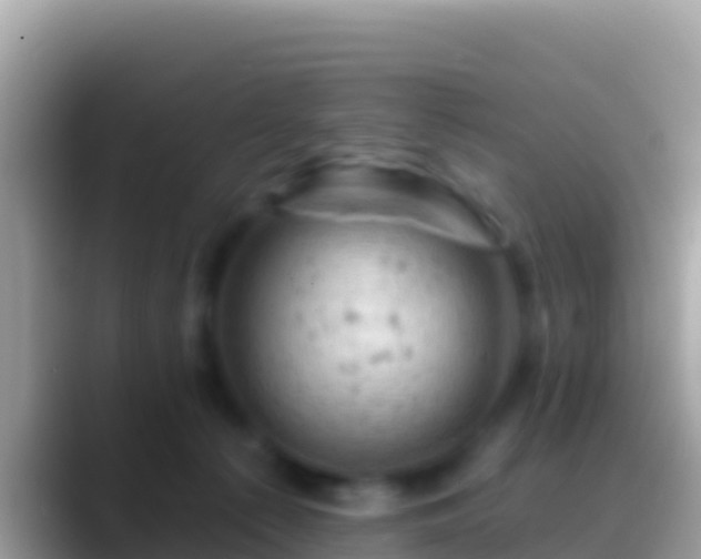 X0000088650225200706011227