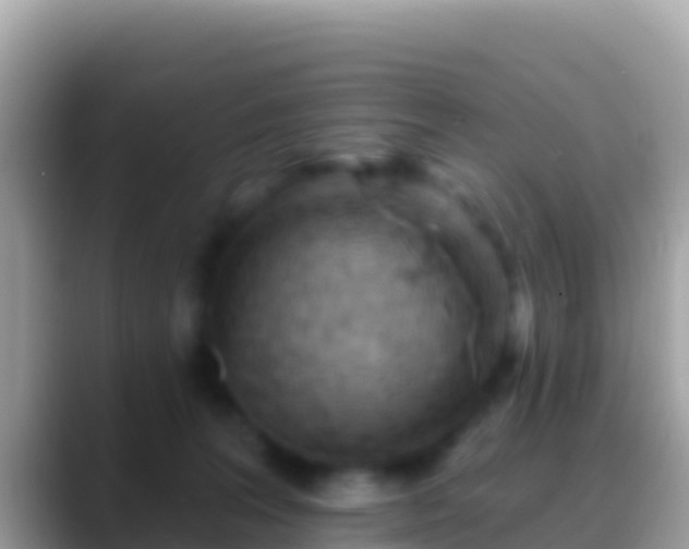 X0000088650227200706011227