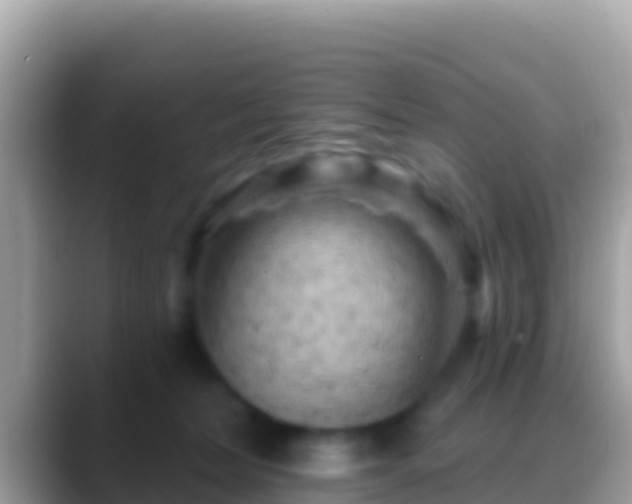 X0000088650228200706011227