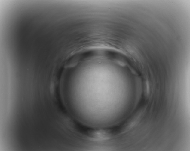 X0000088650229200706011227