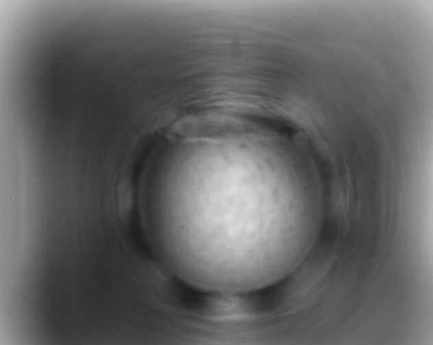 X0000088650230200706011227