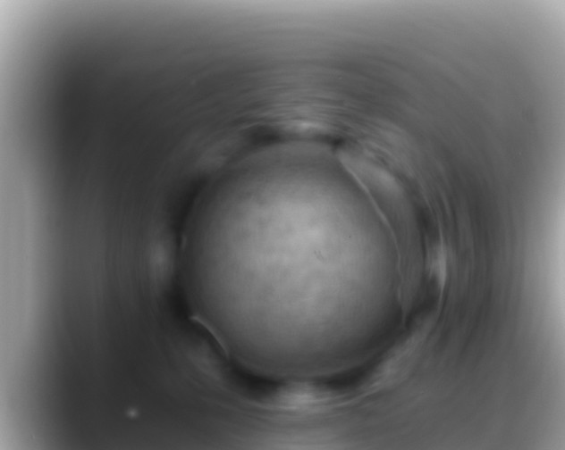 X0000088650231200706011227