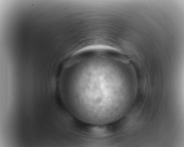 X0000088650232200706011227