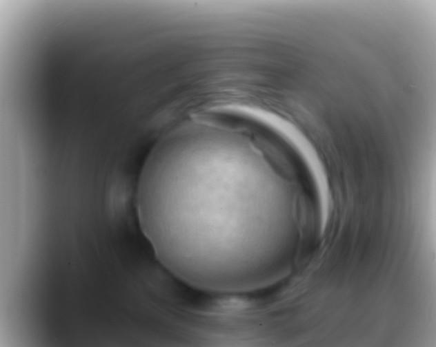 X0000088650233200706011227