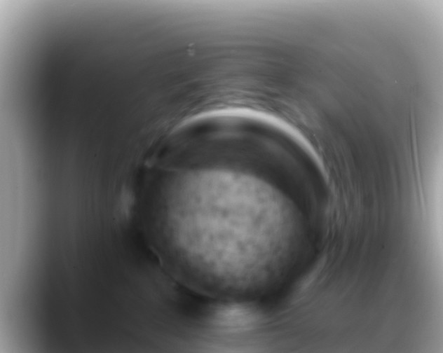 X0000088650235200706011227