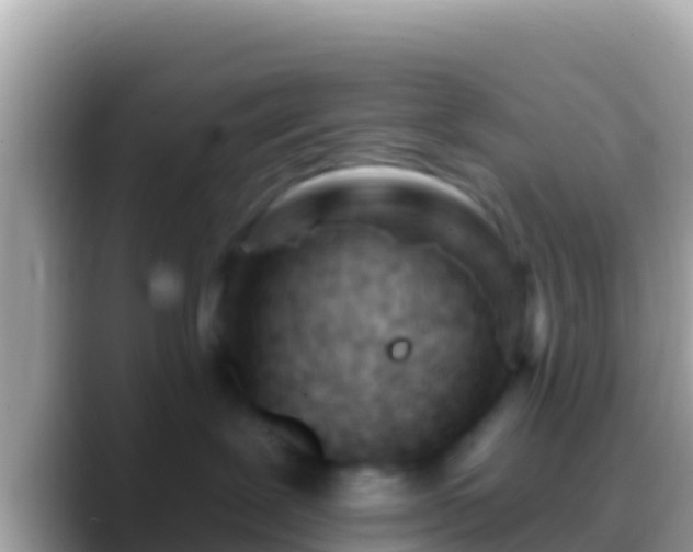 X0000088650239200706011226