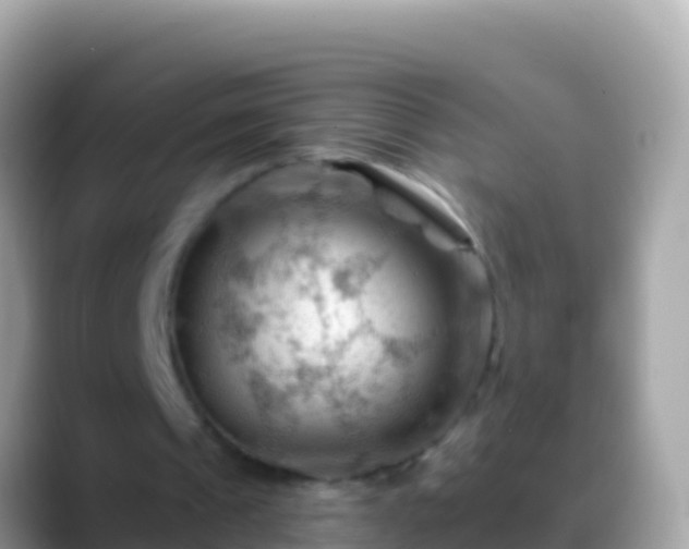 X0000088650241200706011226