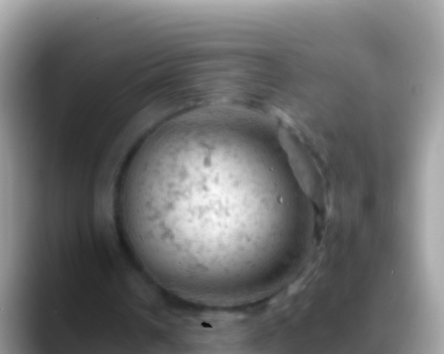 X0000088650242200706011226