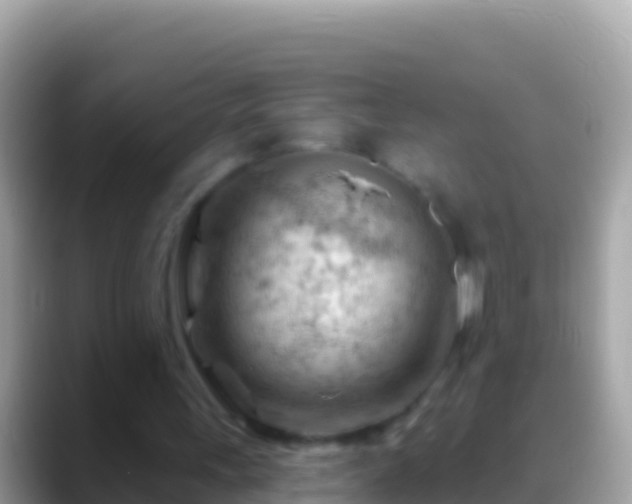 X0000088650243200706011226