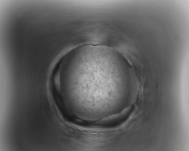 X0000088650244200706011226