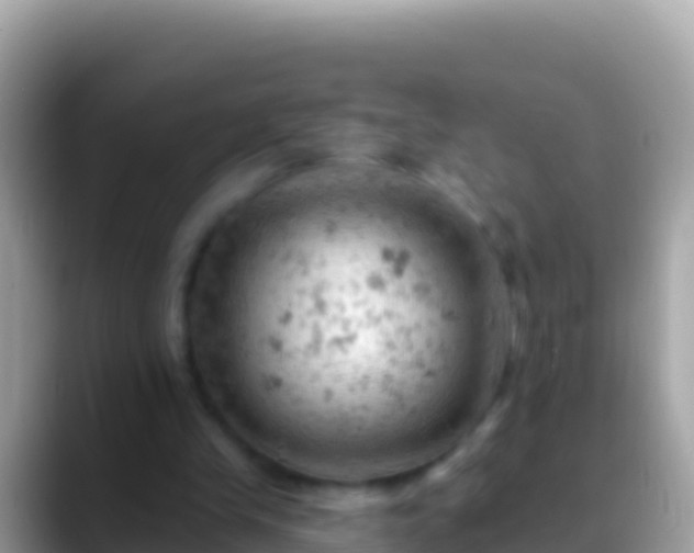 X0000088650245200706011226