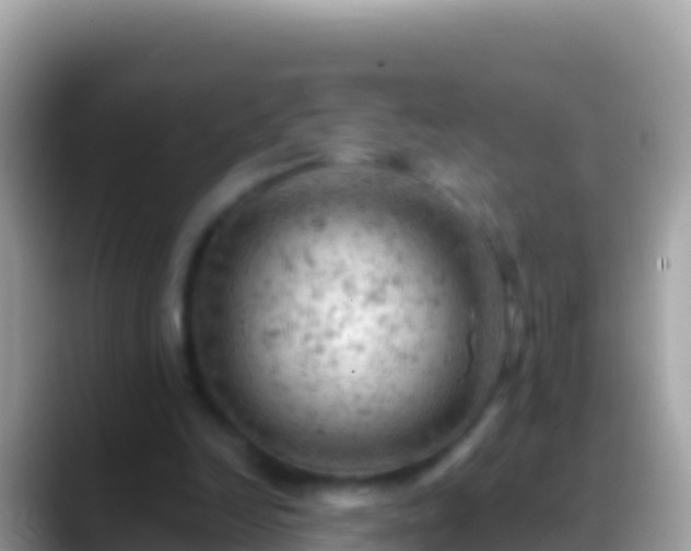 X0000088650246200706011226