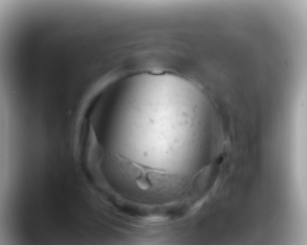 X0000088650248200706011226