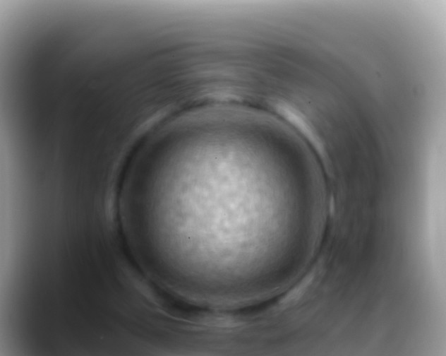 X0000088650249200706011226