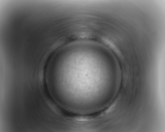 X0000088650250200706011226