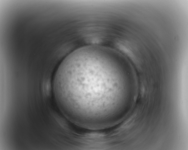 X0000088650251200706011226