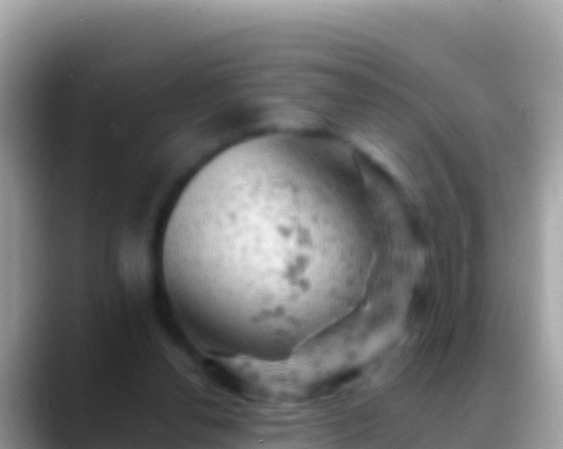 X0000088650252200706011226