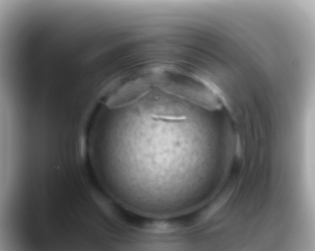 X0000088650253200706011226