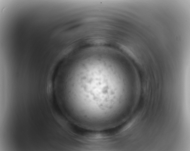 X0000088650254200706011226