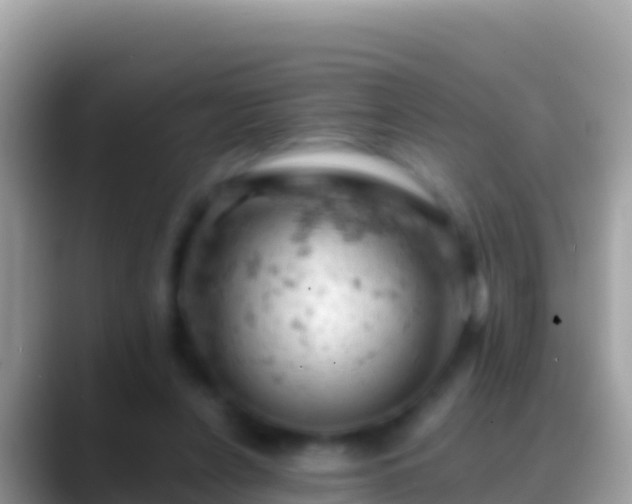 X0000088650256200706011226