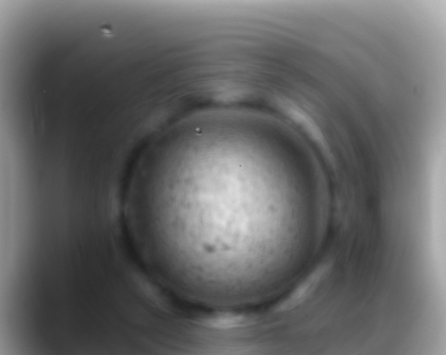 X0000088650257200706011226