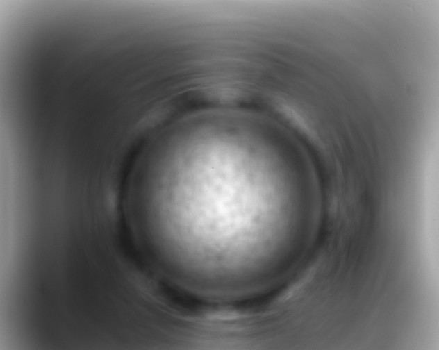 X0000088650258200706011226