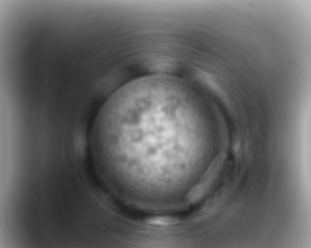 X0000088650259200706011226