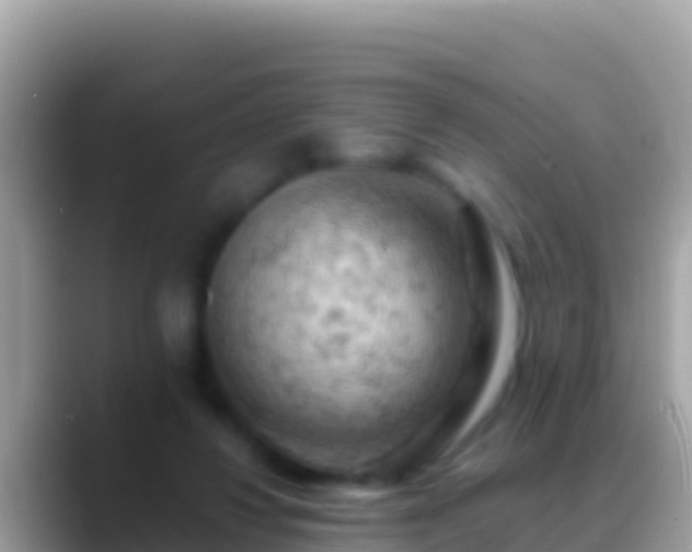 X0000088650260200706011226