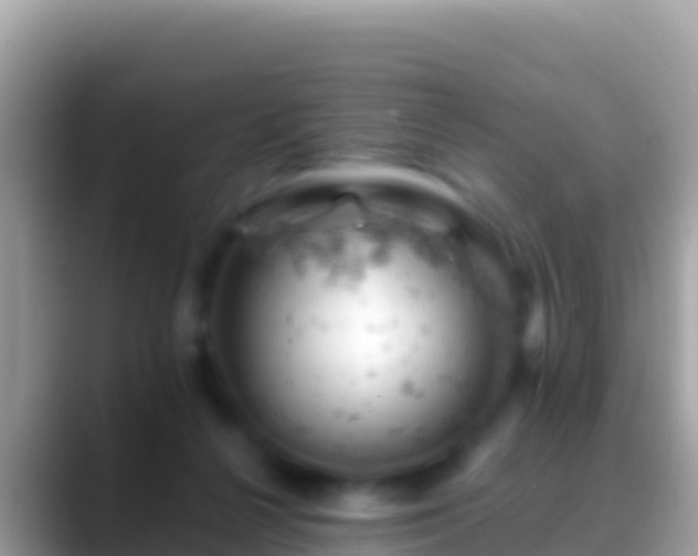 X0000088650264200706011226