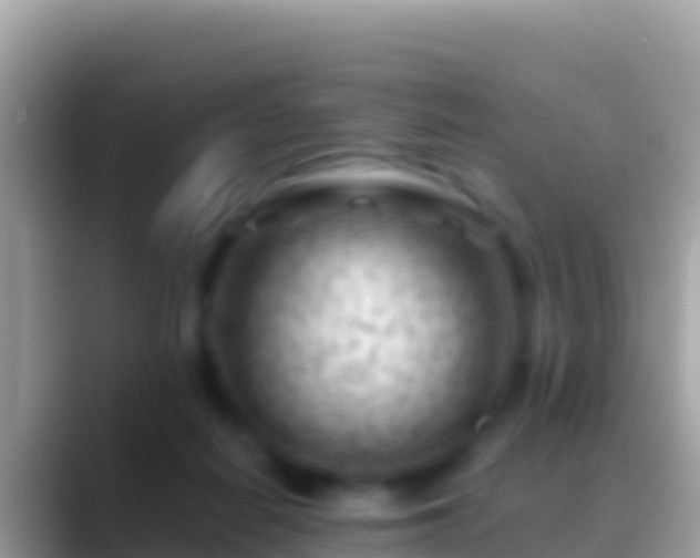 X0000088650266200706011226