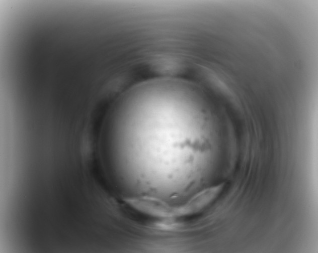 X0000088650268200706011226