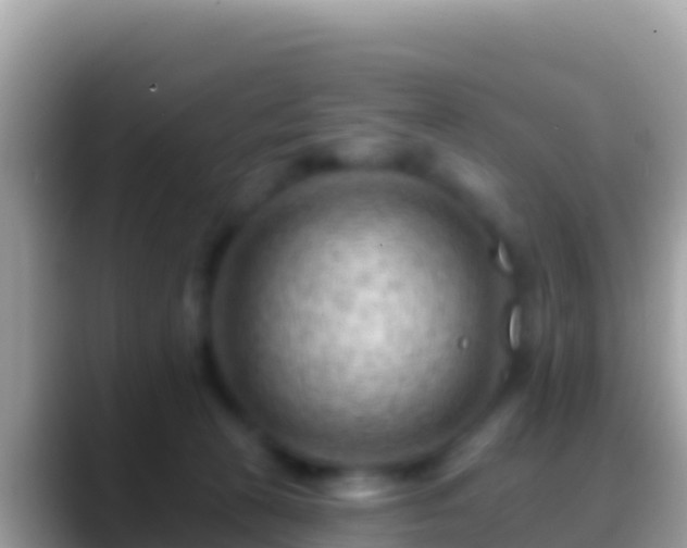 X0000088650273200706011226